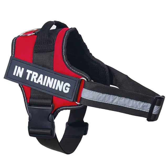 Varenity™ Ultimate Personalized No Pull Dog Harness