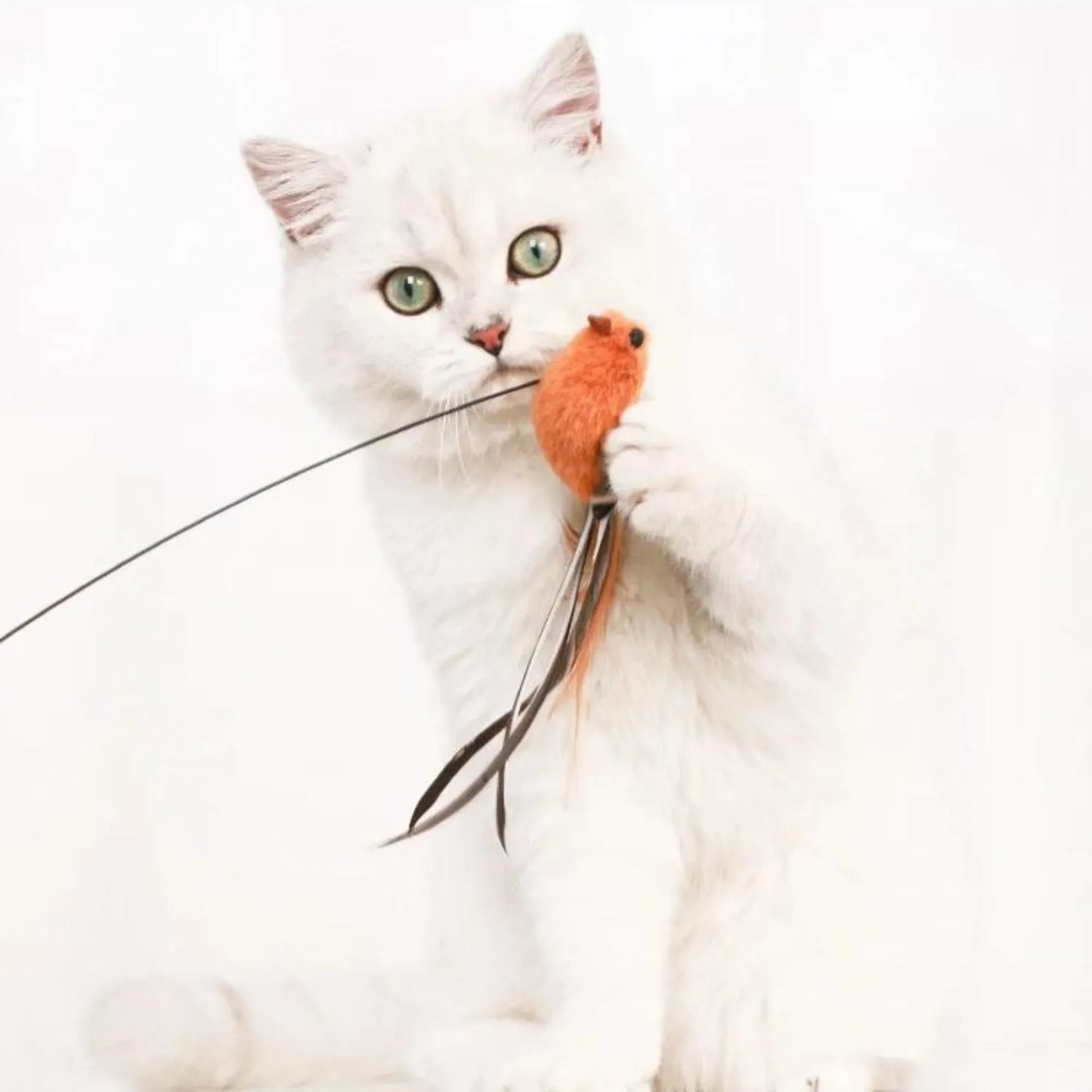 INTERACTIVE CAT FEATHER TOYS - Buy one get two 50%