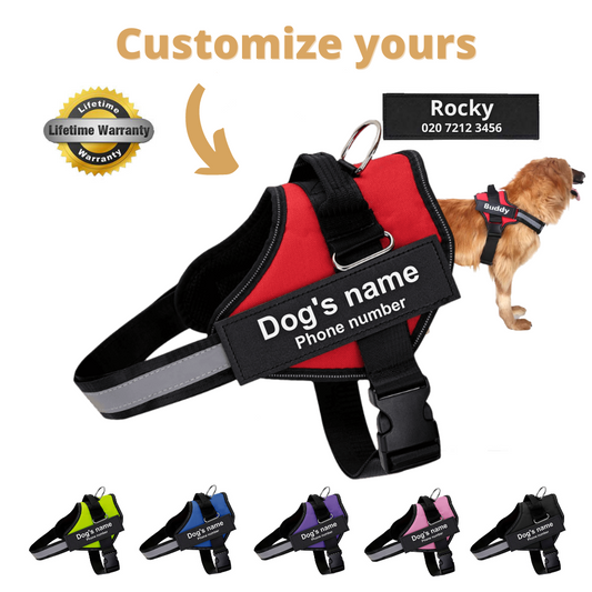 Varenity™ Ultimate Personalized No Pull Dog Harness